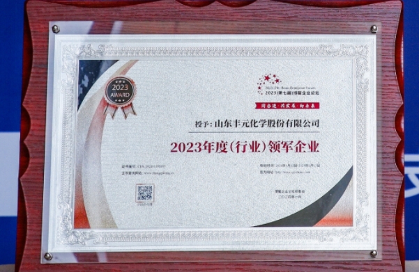 豐元股份榮獲博鰲企業(yè)論壇“2023年度（行業(yè)）領(lǐng)軍企業(yè)”稱號